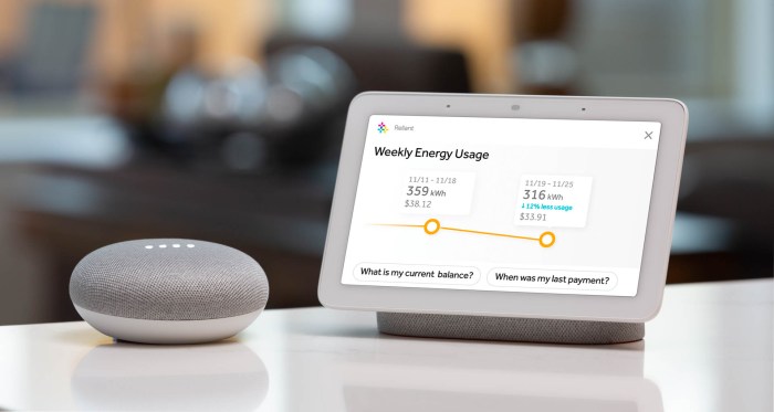 Smart home google